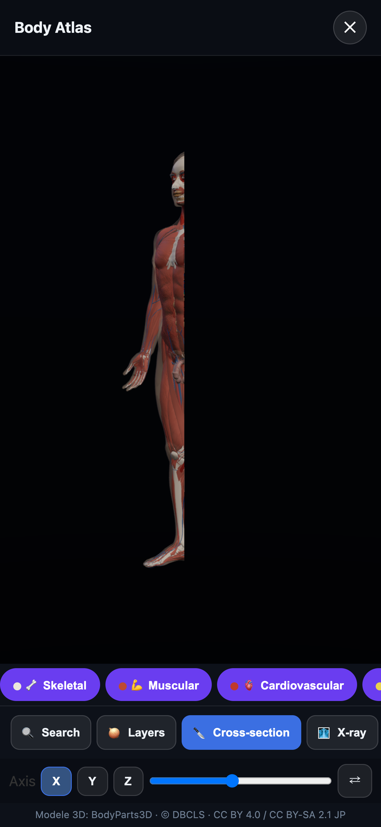 Body Atlas — cross-section
