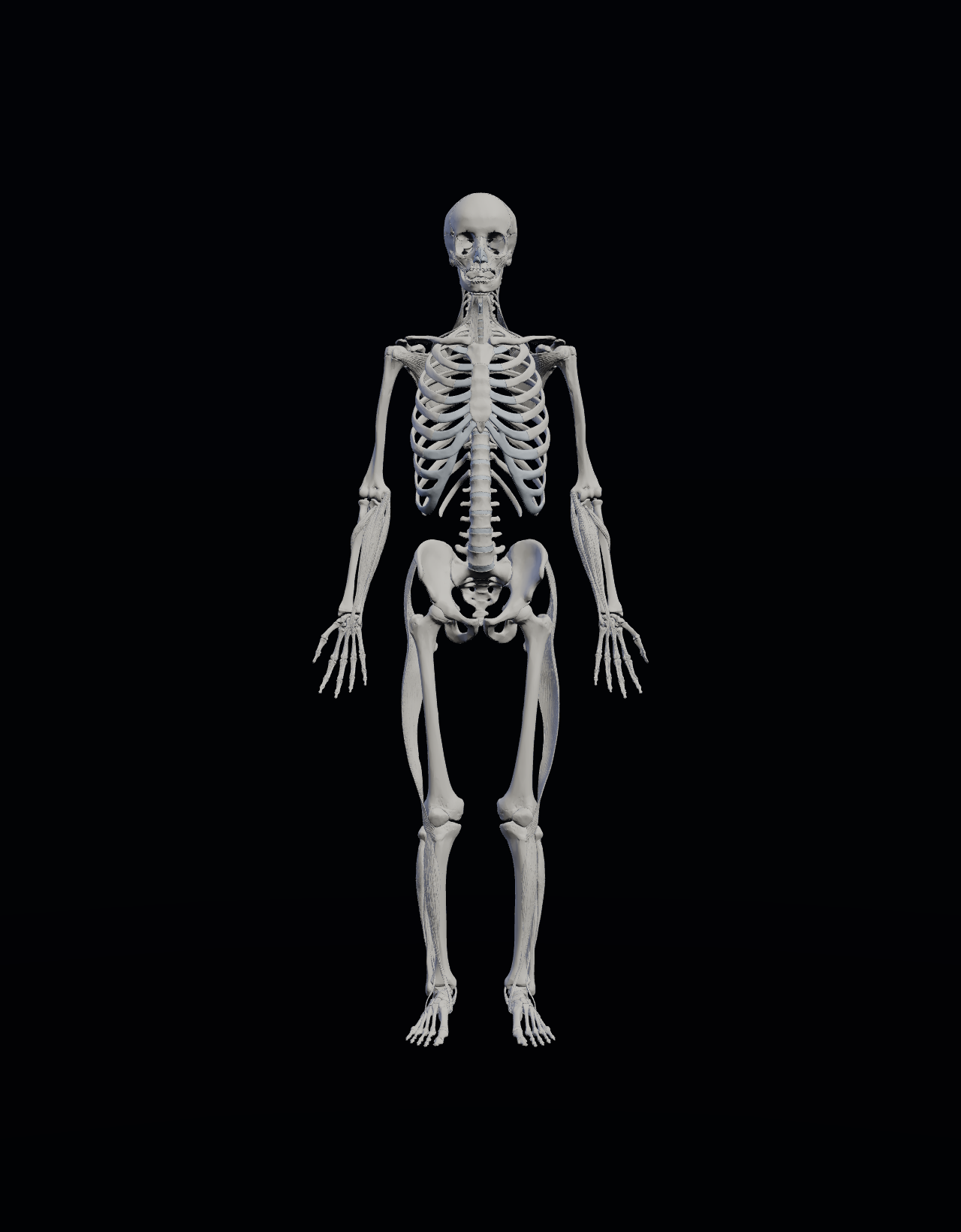 3D skeleton